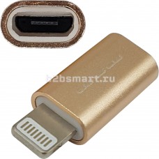 ЗУ-переходник Micro-USB - Apple iPhone 5 Wuw R70mi золотой